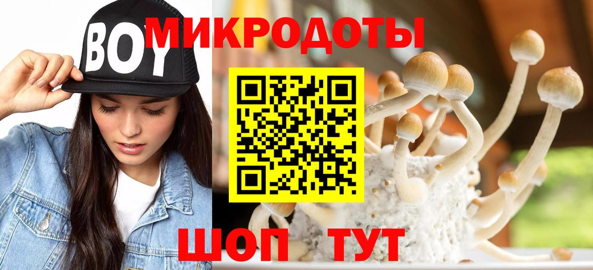 Псилоцибиновые грибы GOLDEN TEACHER Нижневартовск